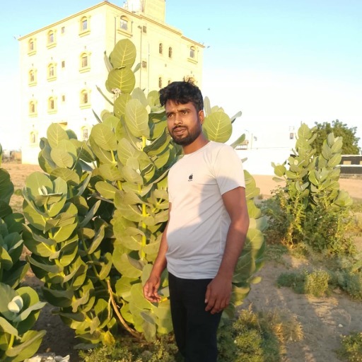 মোঃ ইসমাইল হোসেন