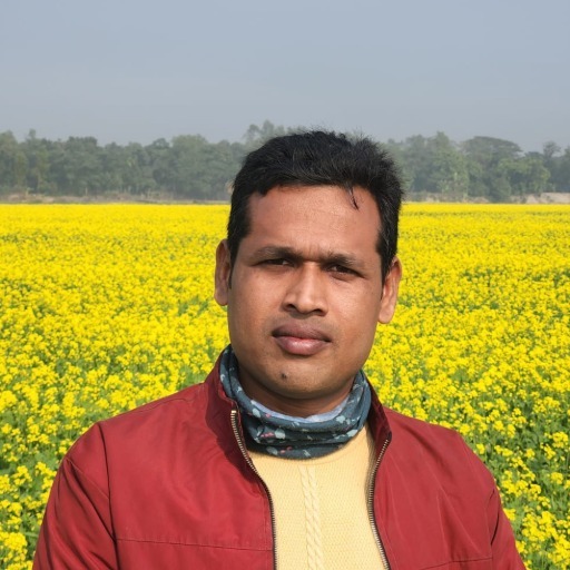 মোঃ রমিজ উদ্দিন